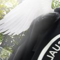 auraessense