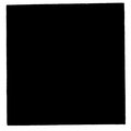 Simba229