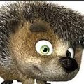 hedgehoggg
