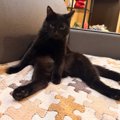 ALGIZ_007