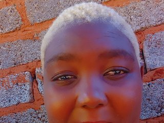 BlondeDolphin