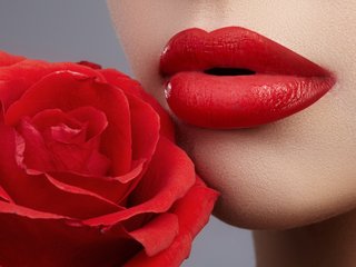 Julirosee