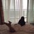 marianthelittlebeautycat