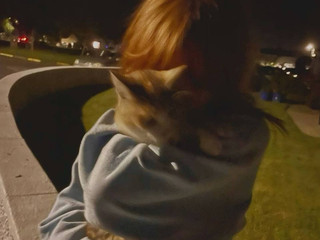 kitty