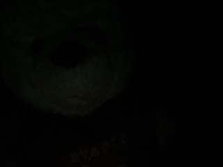 My Photos