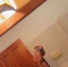 foxyfanala1