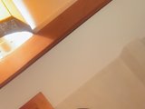 foxyfanala1
