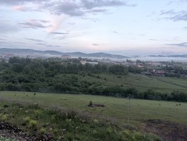 Andryanyk