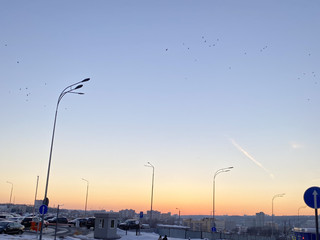 My Photos