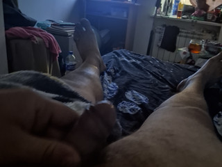 Bbb