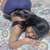 MagicAssx