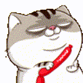 MasterKiti