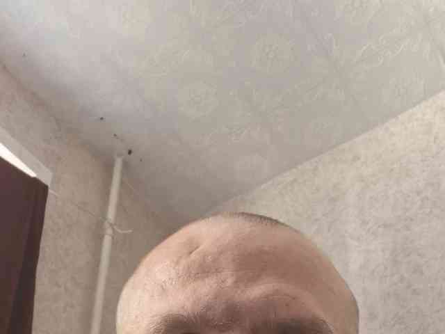 YURIY31H1
