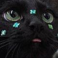 Nekos-1