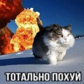 NOPLX