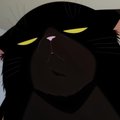 Fester-