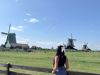 my trip