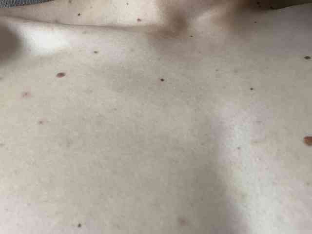 Faritta