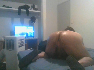 Bear Man Pig