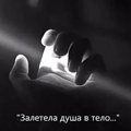 ClosedHeart