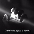ClosedHeart