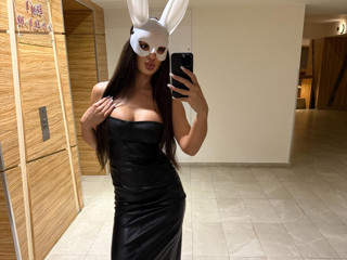 Classy Bunny