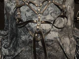 Harness