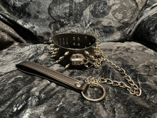 Collar and leash