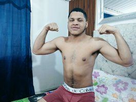 david-plein avatar