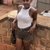 AllyAh11