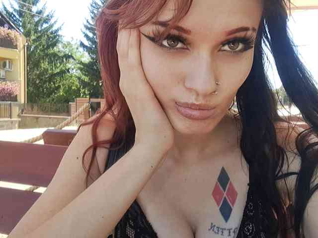 DixieBarnes