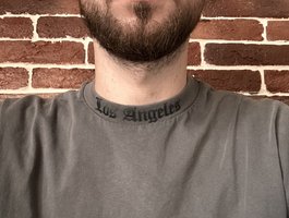 SsVv69