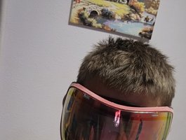 Profile