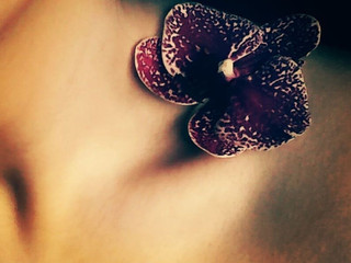 My Photos