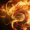 DRAGON-FIRE