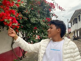 Profile