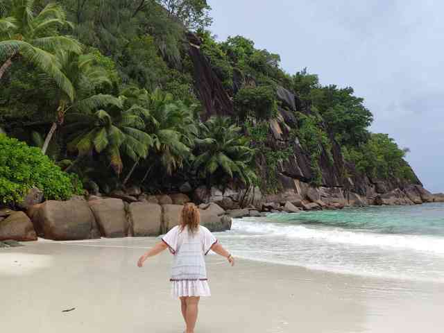 Olylia