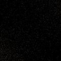 BlackHoney