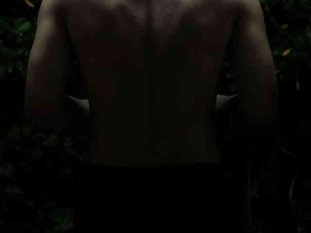 Timdir11