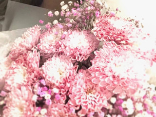 My Photos