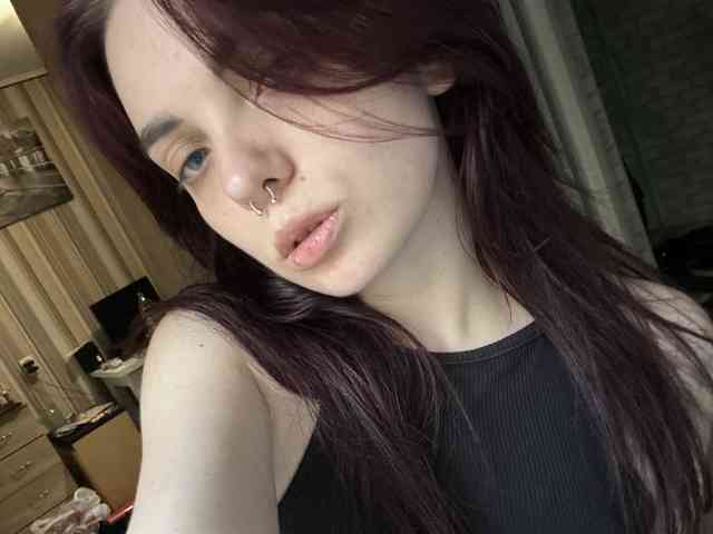 VelvetVibe