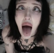 LilyVex