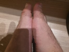 HairyBear-11
