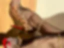 Feet, pedicure, stiletto heels