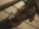 Harness Ass