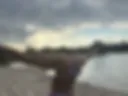 My ass