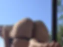 Legs, pussy