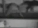 Как насчет того что бы принять вместе ванну?