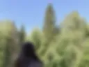 Naked ass with a view of the forest