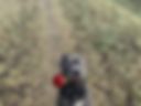 Barmaley_